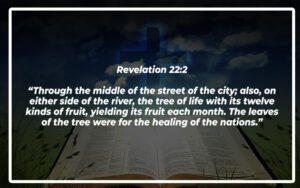 35 Important Bible Verses About Roots - Bible Repository