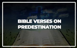 35 Bible Verses About Predestination (Explained) - Bible Repository
