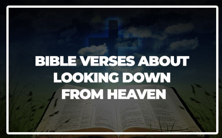 35 Bible Verses About Looking Down from heaven - Bible Repository